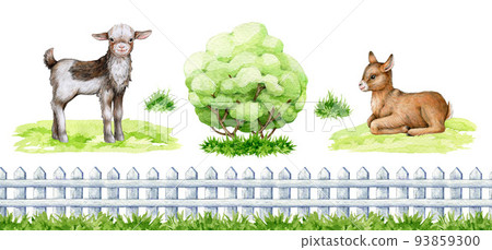 Small goat with farm elements watercolor illustration set. Hand drawn small standing and laying goatling, fence, grass, bush elements. Cute newborn goat farm animal. White background Small goat with farm elements watercolor illustration set. Hand drawn small standing and laying goatling, fence, grass, bush elements. Cute newborn goat farm animal. White background 93859300