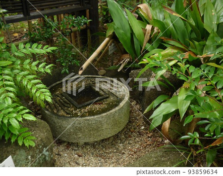 Kawasaki City Greening Center, Shukugawara Station, Nambu Line, Arboretum, Lawn Square, Bonsai Exhibition Hall, Greenhouse, Tropical Plants, August 2020 93859634