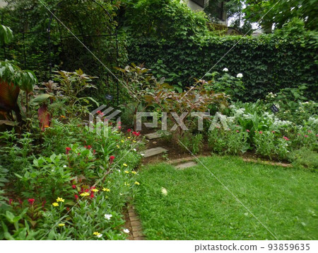 Kawasaki City Greening Center, Shukugawara Station, Nambu Line, Arboretum, Lawn Square, Bonsai Exhibition Hall, Greenhouse, Tropical Plants, August 2020 93859635