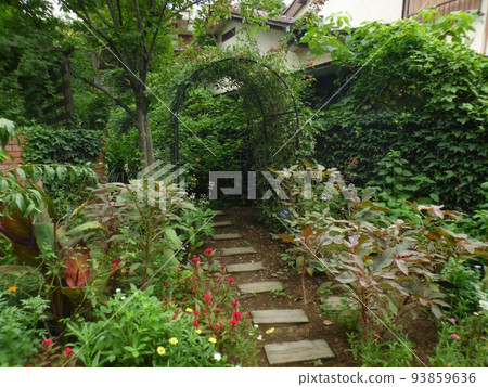 Kawasaki City Greening Center, Shukugawara Station, Nambu Line, Arboretum, Lawn Square, Bonsai Exhibition Hall, Greenhouse, Tropical Plants, August 2020 Kawasaki City Greening Center, Shukugawara Station, Nambu Line, Arboretum, Lawn Square, Bonsai Exhibition Hall, Greenhouse, Tropical Plants, August 2020 93859636