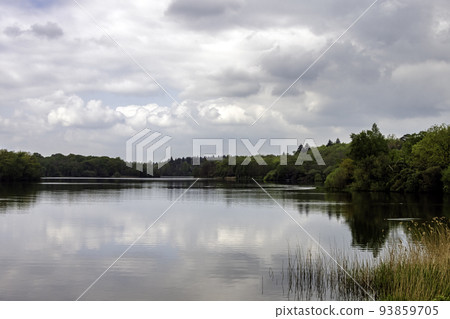 Virginia Water Lake in Windsor Great Park, UK Virginia Water Lake in Windsor Great Park, UK 93859705