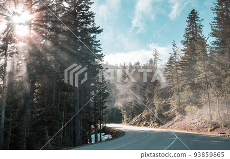 Sunny beams Sunny beams 93859865