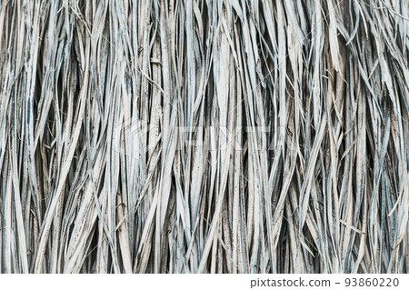 Long dry thin grass, agriculture harvest, pile of hay straw. Texture detail. Association brittle lifeless damage diseased hair. Thatched background wallpaper. Shades of gray brown more tone in stock Long dry thin grass, agriculture harvest, pile of hay straw. Texture detail. Association brittle lifeless damage diseased hair. Thatched background wallpaper. Shades of gray brown more tone in stock 93860220