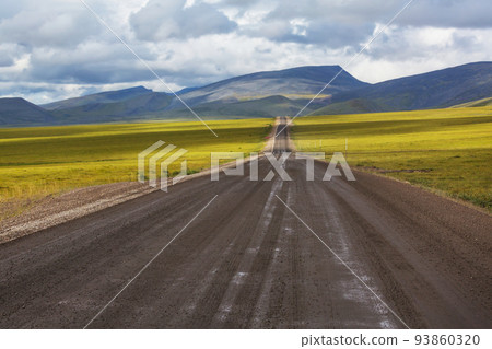 Road in tundra 93860320