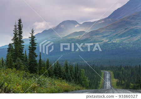 Road on Alaska 93860327