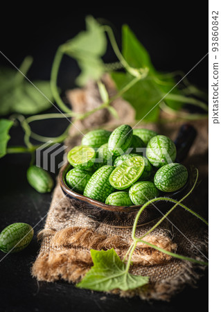 Cucamelon, Melothria scabra Cucamelon, Melothria scabra 93860842