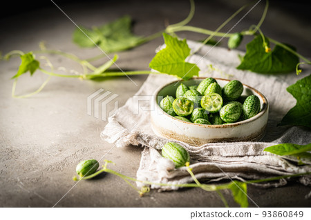 Cucamelon, Melothria scabra 93860849