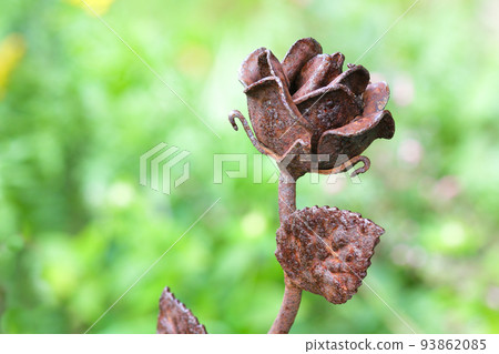 Rusted Metal Ornamental Rose Flower In Garden 93862085