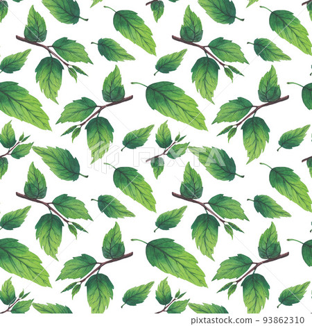 Pattern of watercolor plum tree branches with green leaves and fruits. Pattern of watercolor plum tree branches with green leaves and fruits. 93862310