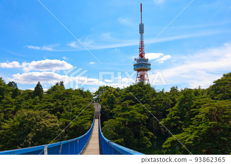 Utsunomiya Tower and Adventure Bridge 93862365