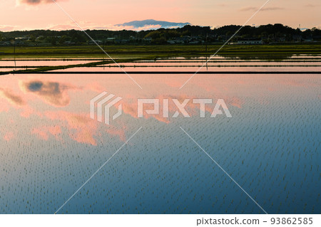 日落時帶水鏡的春天鄉村景觀 日落時帶水鏡的春天鄉村景觀 93862585