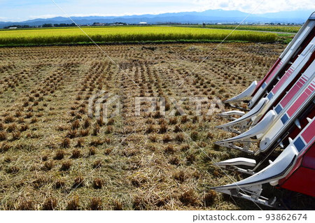 New rice harvesting combine New rice harvesting combine 93862674