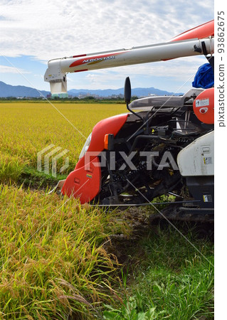New rice harvesting combine New rice harvesting combine 93862675