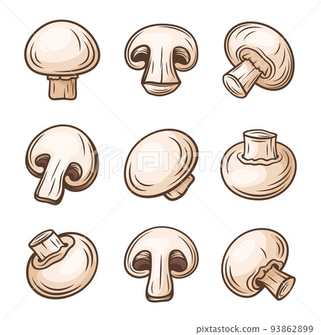 Vector Hand Drawn White Champignon Mushroom Set. Cartoon Champignon Mushrooms with Outline. Design Template, Clipart. Agaricus Campestris 93862899