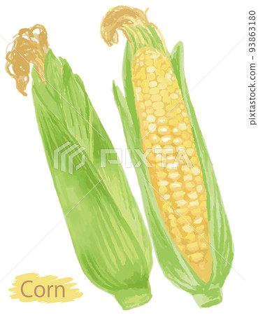 水彩風格的蔬菜，玉米。矢量圖素材 93863180
