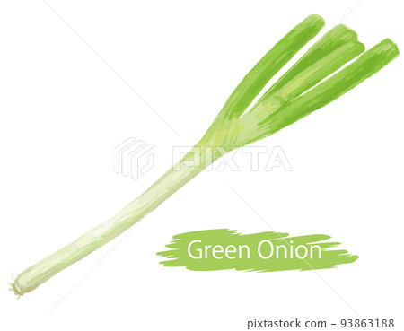 水彩風格的蔬菜,大蔥。矢量圖素材 水彩風格的蔬菜,大蔥。矢量圖素材 93863188