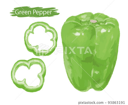 Vegetables in a watercolor style, peppers. Vector illustration material 93863191