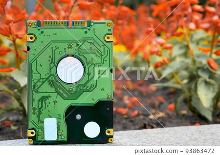 Internal hard drive for storing information and red flowers Internal hard drive for storing information and red flowers 93863472