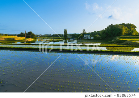 Landscape of rice terraces in spring with beautiful water mirrors 93863574
