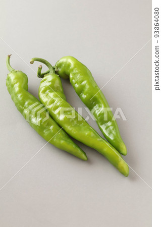 Tosa Sweetie 93864080