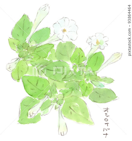 8 月至 9 月的花卉水彩插圖,海市蜃樓 8 月至 9 月的花卉水彩插圖,海市蜃樓 93864464