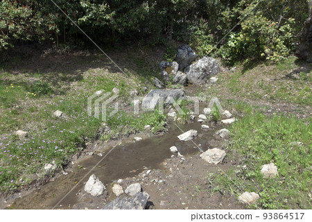 Daikakuji Temple in spring, ruins of Nagoso Falls, Saga, Ukyo Ward, Kyoto City 93864517