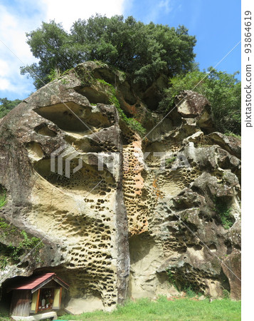 Insect bitumen 93864619