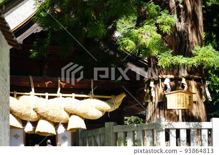 長野縣下諏訪區下諏訪町諏訪大社下社秋宮風景 93864813