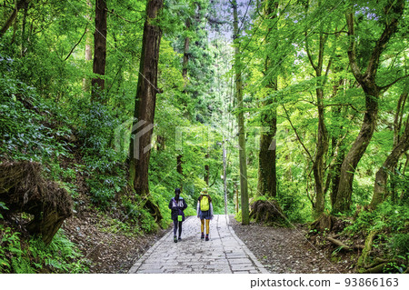 Mt. Takao, Mt. Takao Yakuoin, Omotesando, climbing route 1, summer scenery Mt. Takao, Mt. Takao Yakuoin, Omotesando, climbing route 1, summer scenery 93866163