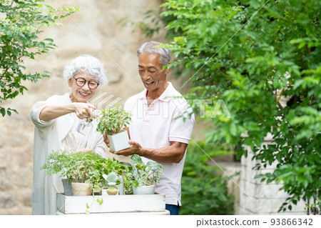 Senior couple gardening Senior couple gardening 93866342