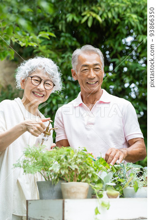 Senior couple gardening 93866350