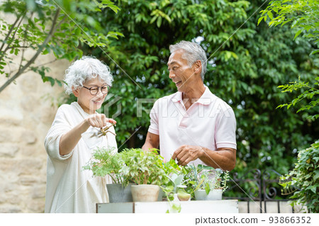 Senior couple gardening Senior couple gardening 93866352