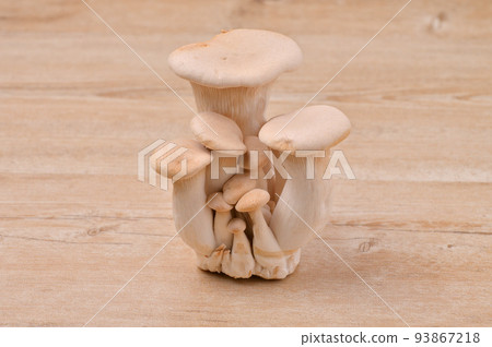 杏鮑菇，食物形象，蘑菇。 93867218