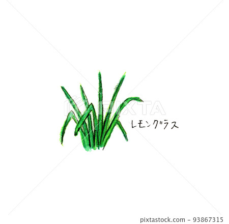Aroma essential oil citrus lemongrass 93867315