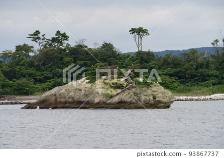 Matsushima Bay, Shichigahama Town, Miyagi Prefecture, Azalea Island seen from a sightseeing boat 93867737