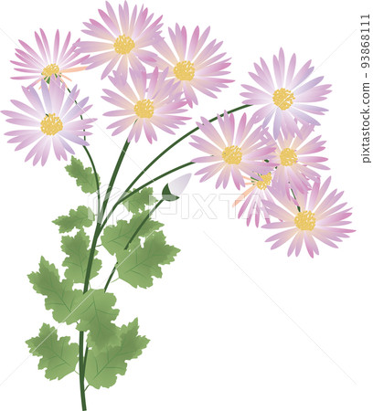 Autumn flowers KIKIKUKI Autumn flowers KIKIKUKI 93868111