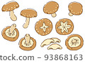 Shiitake mushrooms hand-drawn style 93868163