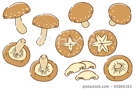 Shiitake mushrooms hand-drawn style Shiitake mushrooms hand-drawn style 93868163