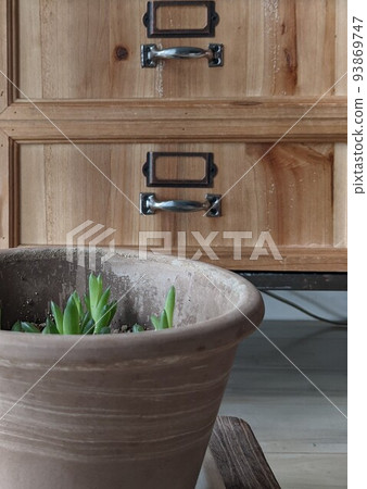 Natural image room with flower pots Natural image room with flower pots 93869747