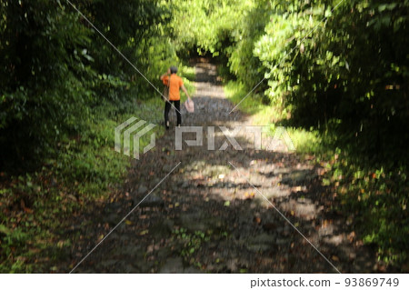 Walking around Izukogen Walking around Izukogen 93869749