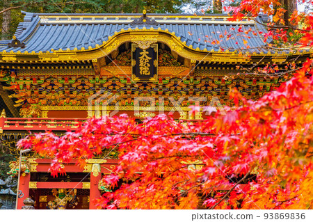 世界遺產“日光的神社和寺廟”的組成資產 有紅葉二天門的輪王寺太佑院 世界遺產“日光的神社和寺廟”的組成資產 有紅葉二天門的輪王寺太佑院 93869836