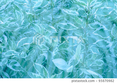 Leaf pattern Leaf pattern 93870982