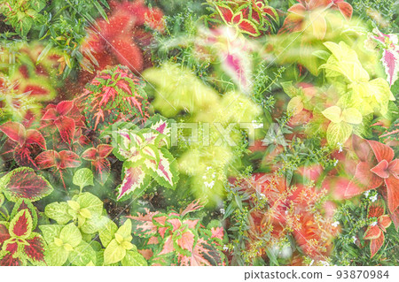 foliage pattern 93870984