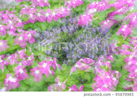 fantasy impatience fantasy impatience 93870985