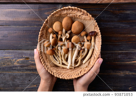 Fresh yanagi matsutake mushroom in basket holding by hand on wooden background, Table top view 93871053