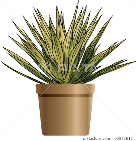 Abstract of Agave plant on brown pot. 93871615