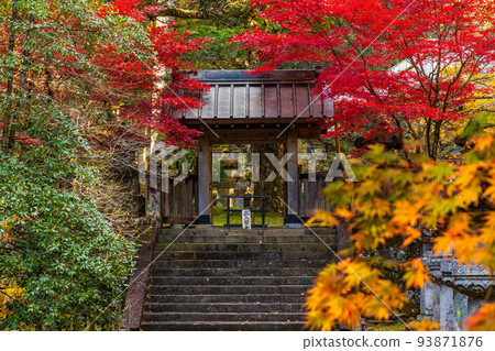 World Heritage "Shrines and Temples of Nikko" constituent assets Rinno-ji Taiyu-in and Ryoko-in for autumn leaves 93871876