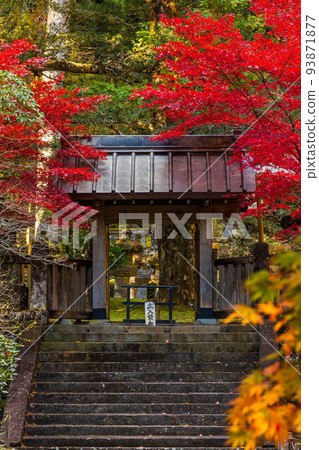 World Heritage "Shrines and Temples of Nikko" constituent assets Rinno-ji Taiyu-in and Ryoko-in for autumn leaves 93871877