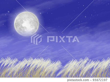 The pampas grass swaying in the night breeze looks great on a full moon night 93872197