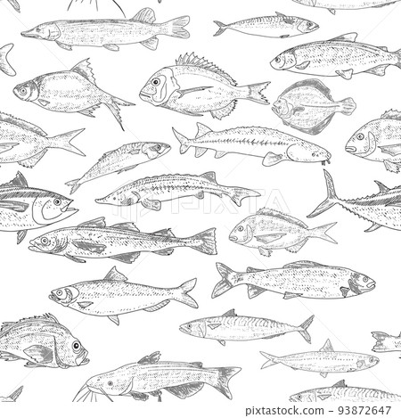 Fish Seamless Pattern Fish Seamless Pattern 93872647